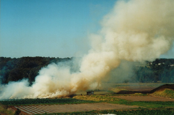 favourites jimmy_deguara : Schofields, NSW   19 September 1999