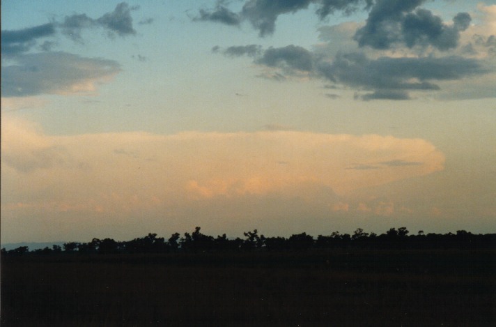 altocumulus altocumulus_cloud : Breeza Plains, NSW   25 September 1999