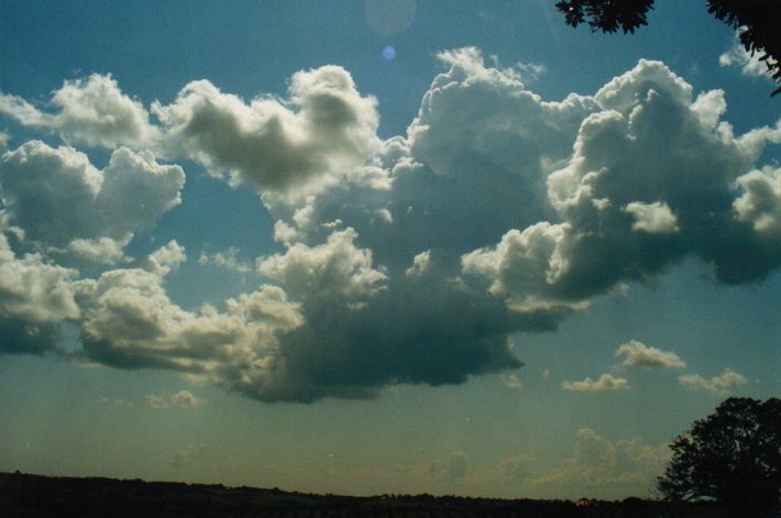 cumulus mediocris : Rous, NSW   25 September 1999