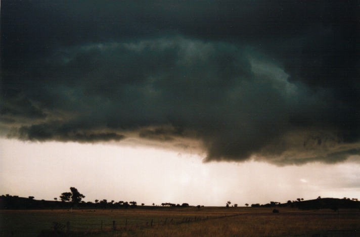 cumulonimbus thunderstorm_base : Tamworth, NSW   26 September 1999