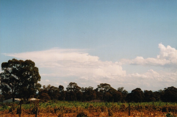 thunderstorm cumulonimbus_incus : Schofields, NSW   29 September 1999