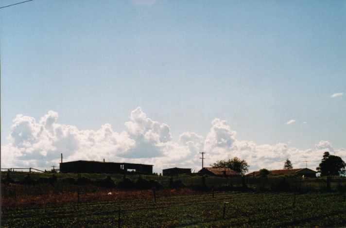cumulus mediocris : Schofields, NSW   29 September 1999