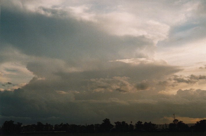 thunderstorm cumulonimbus_incus : Windsor, NSW   30 September 1999