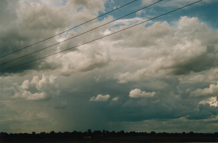 cumulus mediocris : Richmond, NSW   1 October 1999