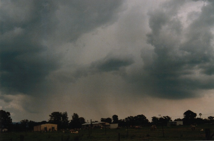 cumulonimbus thunderstorm_base : Richmond, NSW   1 October 1999