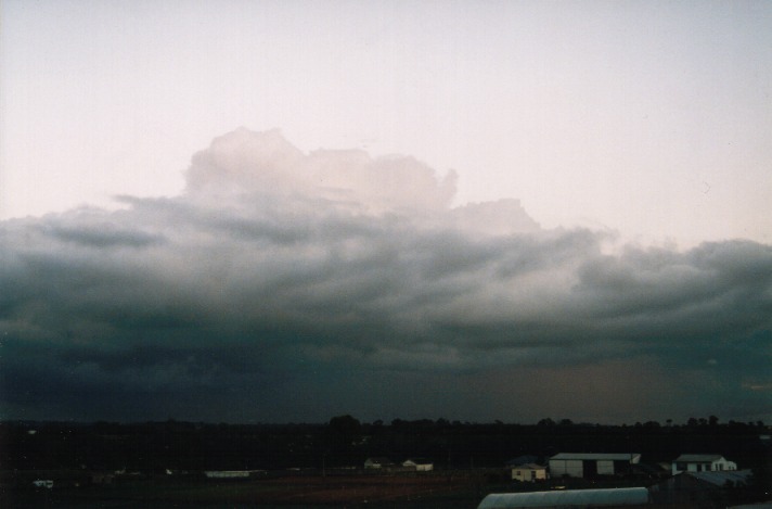 stratocumulus stratocumulus_cloud : Schofields, NSW   6 October 1999