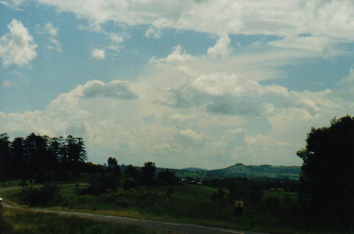 cumulus congestus : Wyrallah, NSW   24 October 1999