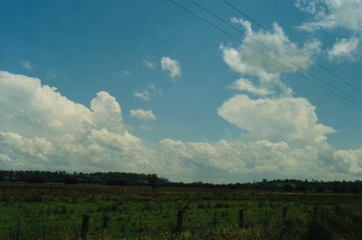 cumulus mediocris : Parrots Nest, NSW   24 October 1999