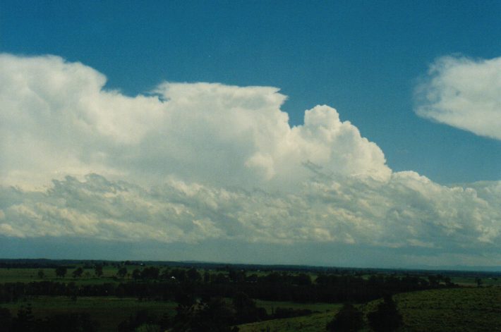 thunderstorm cumulonimbus_incus : Parrots Nest, NSW   24 October 1999