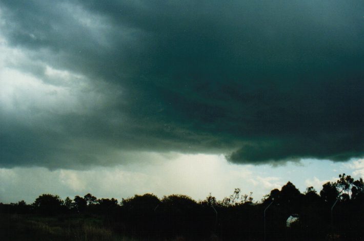 cumulonimbus thunderstorm_base : Casino, NSW   24 October 1999