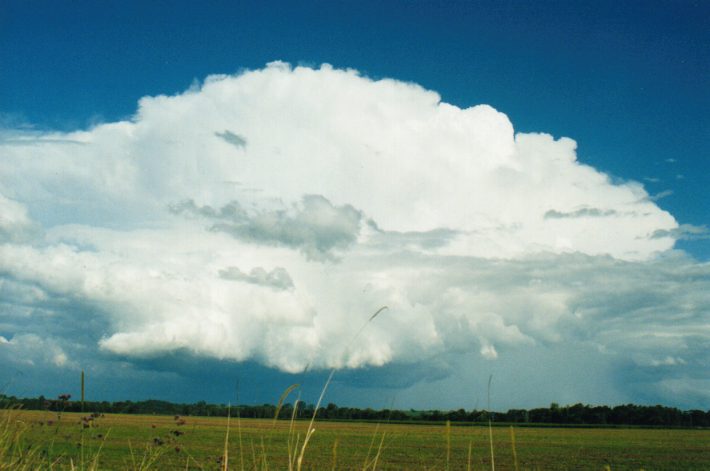 thunderstorm cumulonimbus_incus : S of Lismore, NSW   24 October 1999