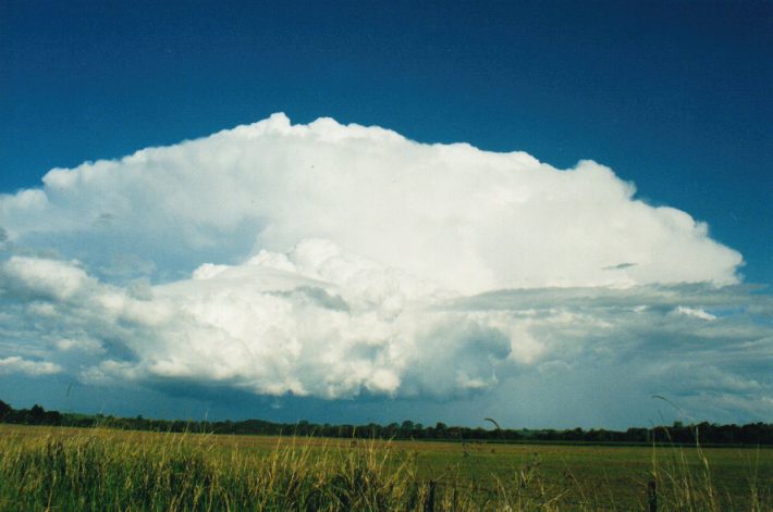 cumulonimbus supercell_thunderstorm : S of Lismore, NSW   24 October 1999