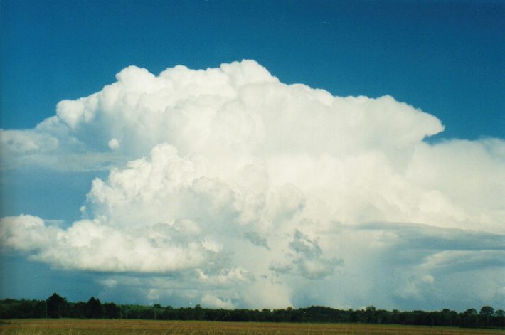 cumulonimbus supercell_thunderstorm : S of Lismore, NSW   24 October 1999