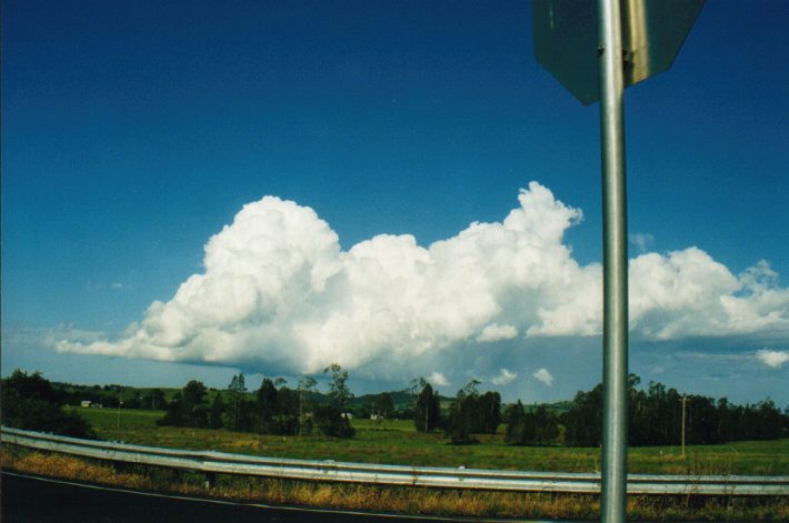 cumulus congestus : S of Lismore, NSW   24 October 1999