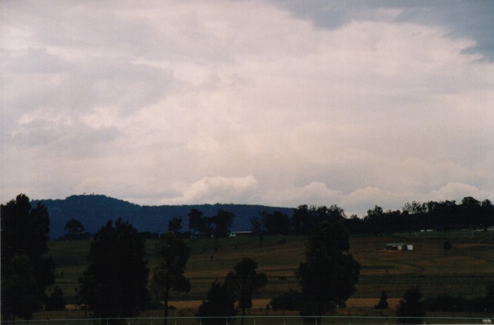 cumulus mediocris : Brankxton, NSW   31 October 1999
