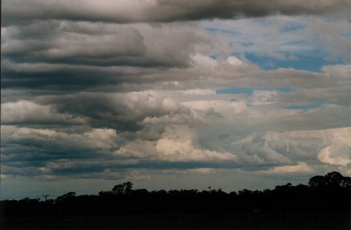 cumulus mediocris : Richmond, NSW   6 November 1999