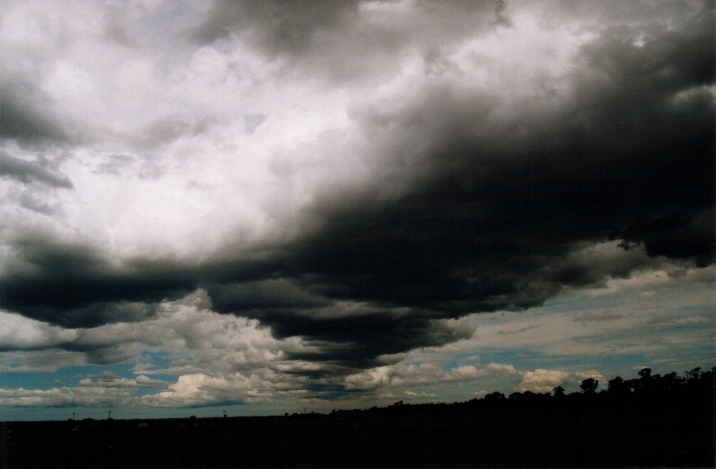 cumulonimbus thunderstorm_base : Richmond, NSW   6 November 1999