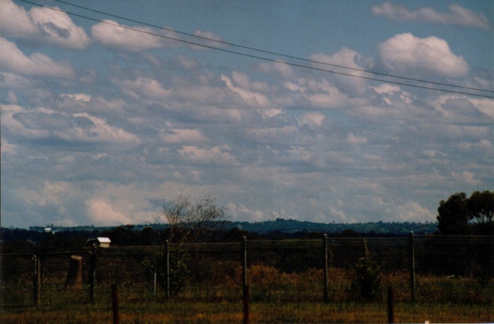 cumulus congestus : Schofields, NSW   7 November 1999
