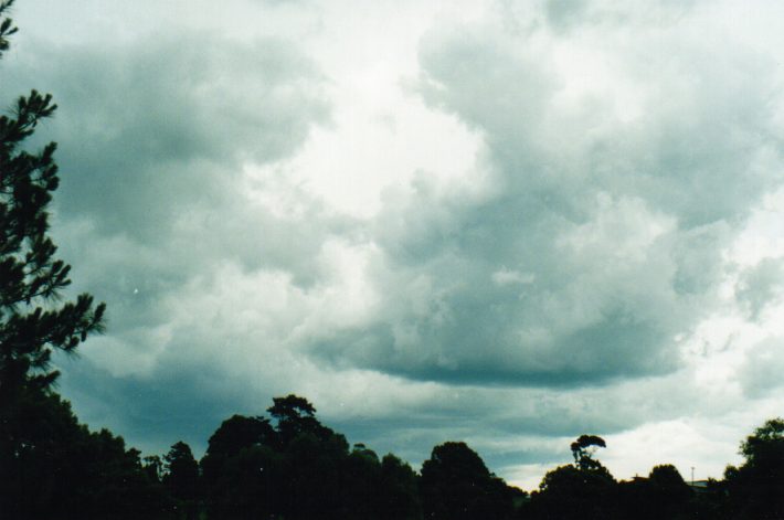 cumulus congestus : Wollongbar, NSW   7 November 1999