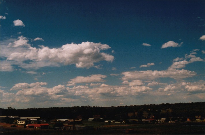 cumulus mediocris : Schofields, NSW   14 November 1999