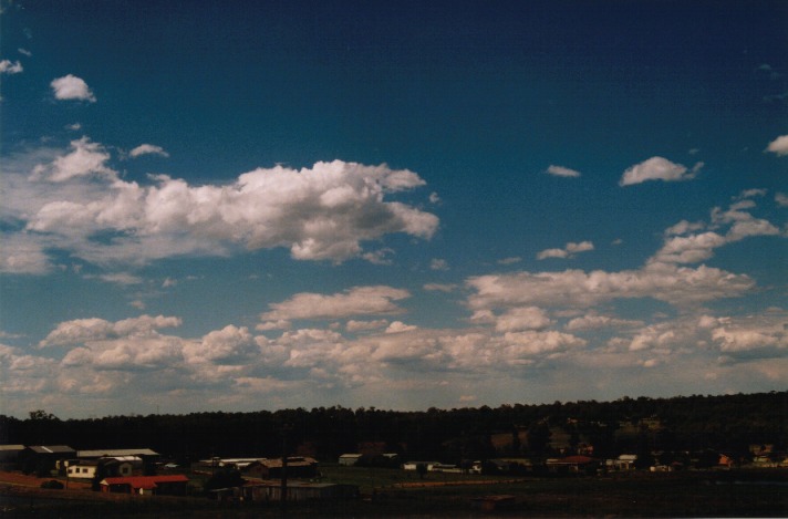 cumulus mediocris : Schofields, NSW   14 November 1999