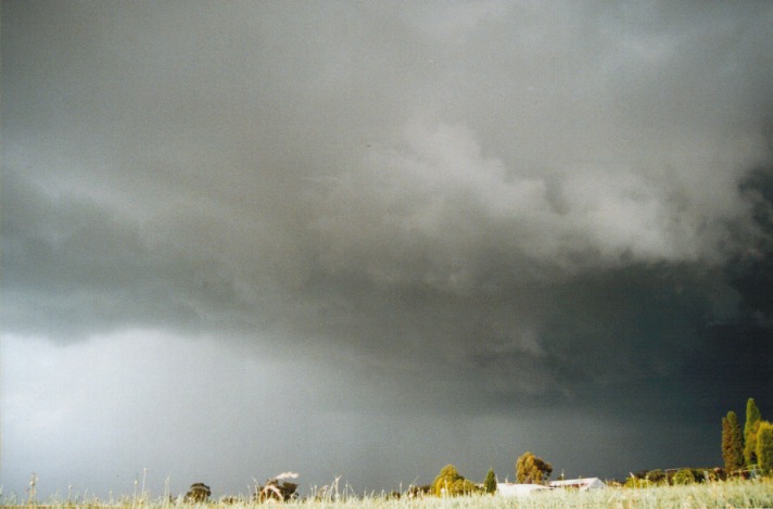 cumulonimbus thunderstorm_base : Kenthurst, NSW   16 November 1999
