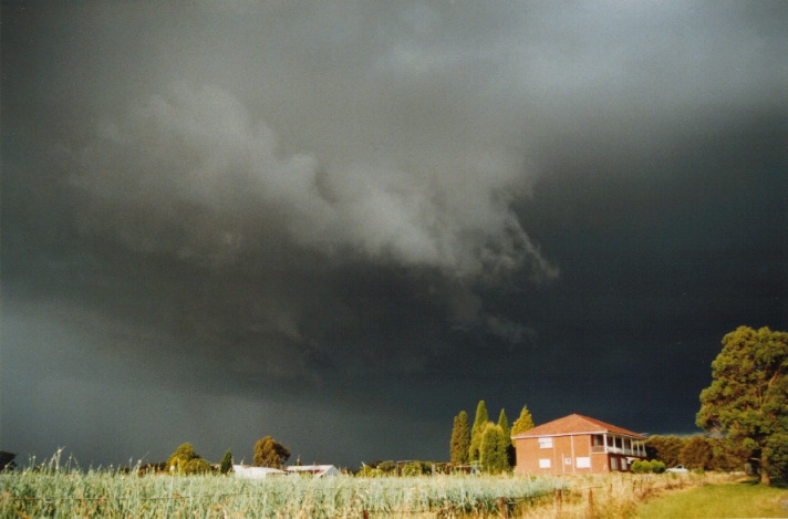 raincascade precipitation_cascade : Kenthurst, NSW   16 November 1999