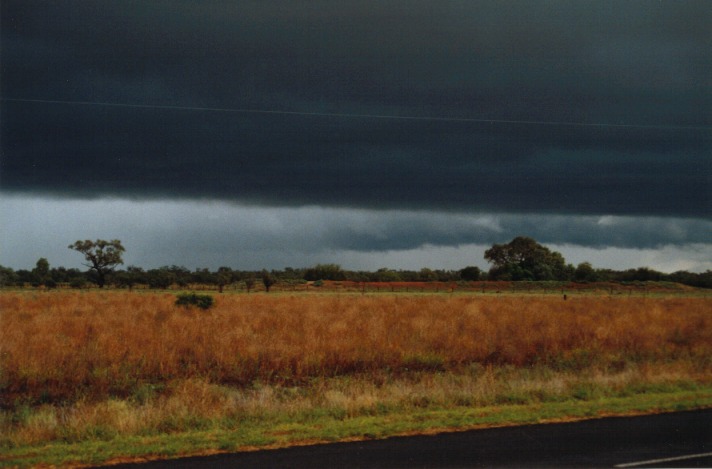 raincascade precipitation_cascade : Barringun, NSW   20 November 1999