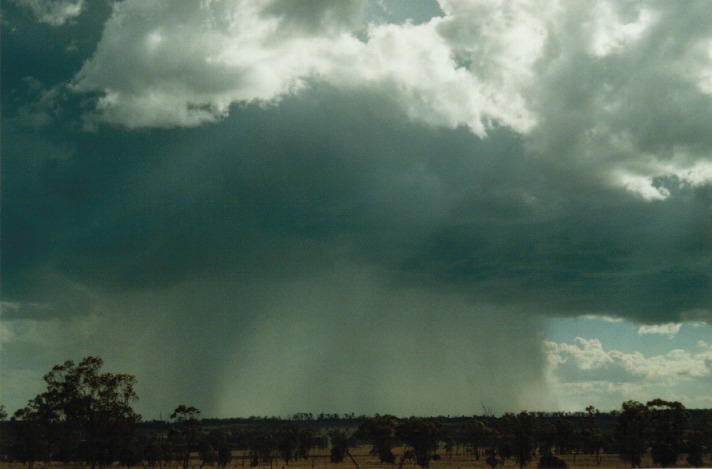 cumulonimbus thunderstorm_base : E of Morven, Qld   21 November 1999