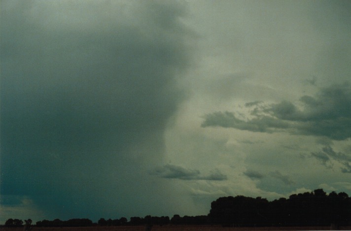 thunderstorm cumulonimbus_incus : S of Gumtree, Qld   22 November 1999
