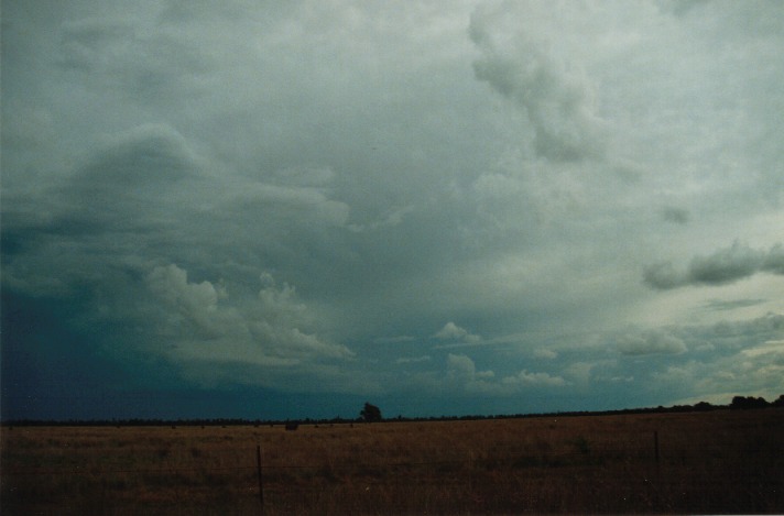 cumulonimbus supercell_thunderstorm : S of Condamine, Qld   22 November 1999