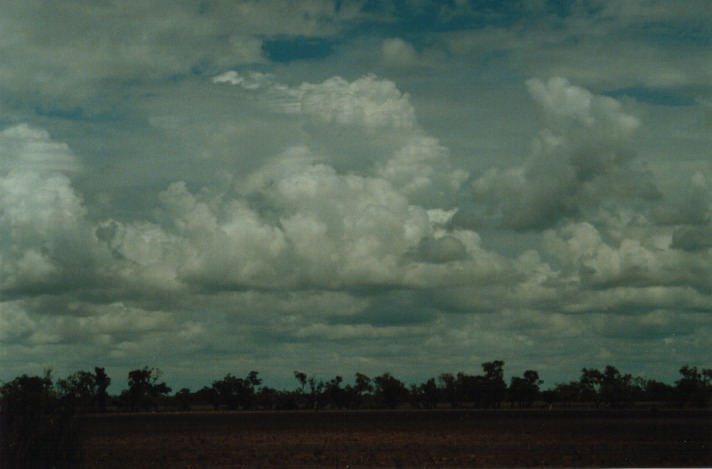 cumulus mediocris : S of Cunumulla, Qld   27 November 1999