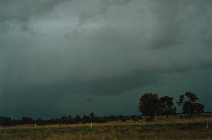 cumulonimbus thunderstorm_base : S of Cunumulla, Qld   27 November 1999