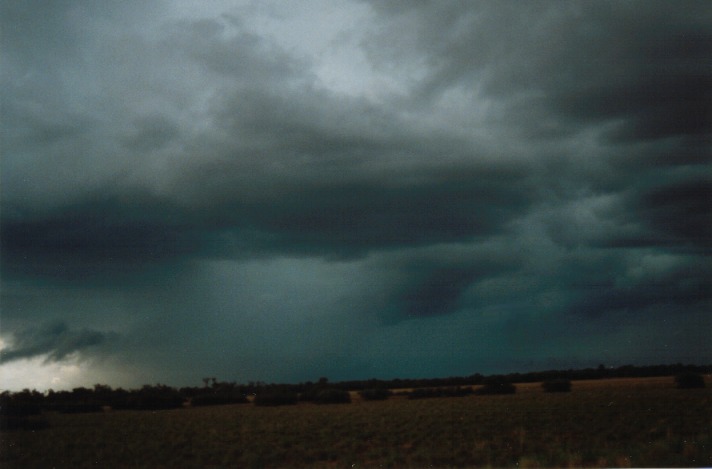cumulonimbus thunderstorm_base : N of Barringun, NSW   27 November 1999