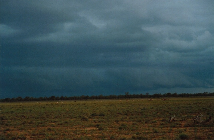 cumulonimbus thunderstorm_base : N of Barringun, NSW   27 November 1999