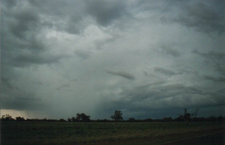 cumulonimbus thunderstorm_base : S of Barringun, NSW   27 November 1999