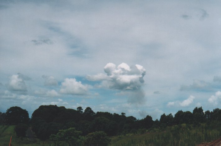 cirrostratus cirrostratus_cloud : McLeans Ridges, NSW   22 December 1999