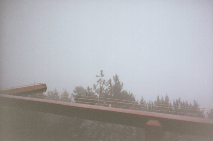 contributions received : Lower Beechmont, QLD<BR>Photo by Matthew Saxby   27 December 1999