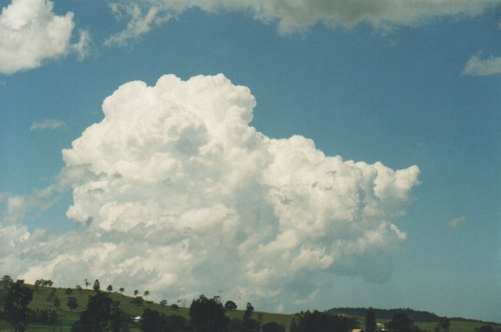 cumulus congestus : E of Casino, NSW   31 December 1999