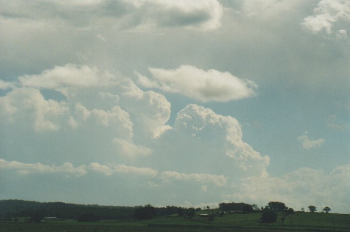 thunderstorm cumulonimbus_incus : Coraki, NSW   31 December 1999