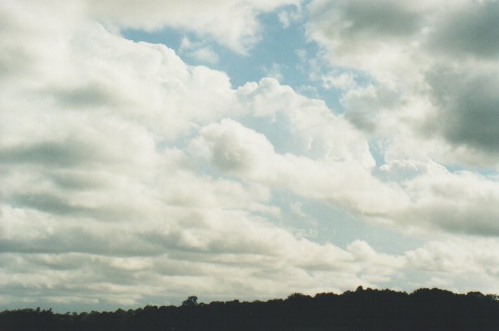 stratus stratus_cloud : Swan Bay, NSW   31 December 1999
