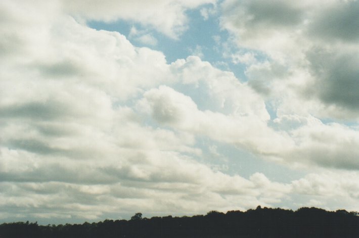 thunderstorm cumulonimbus_incus : Swan Bay, NSW   31 December 1999