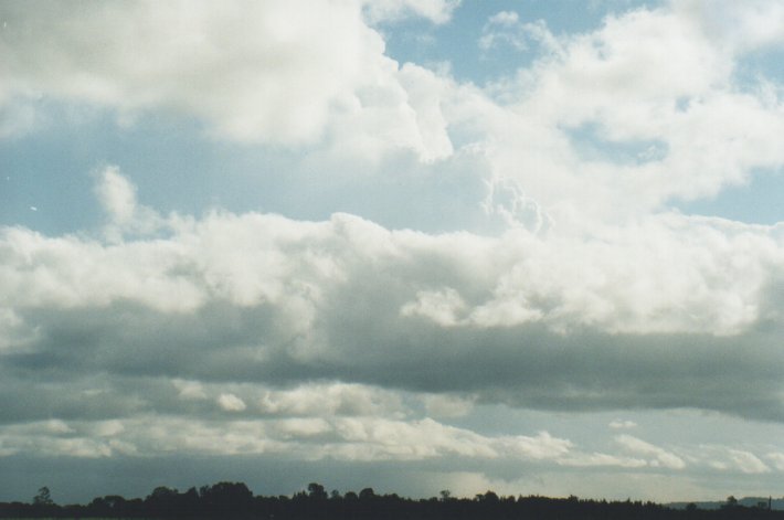 stratus stratus_cloud : Woodburn, NSW   31 December 1999