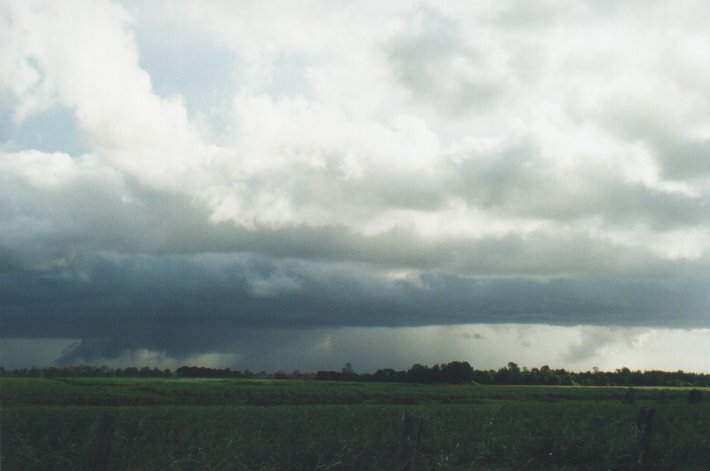 stratus stratus_cloud : Woodburn, NSW   31 December 1999