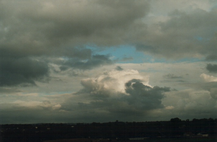 cumulus congestus : Schofields, NSW   2 January 2000