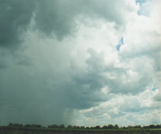 cumulonimbus thunderstorm_base : Tuckarimba, NSW   5 January 2000