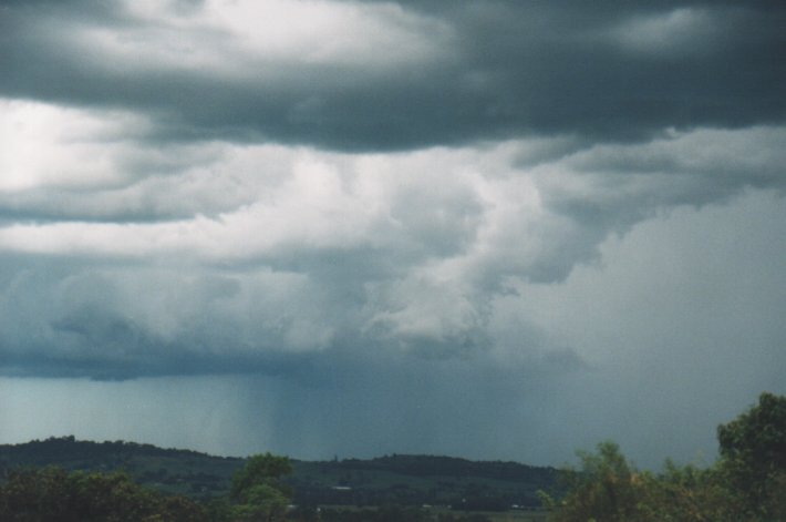 cumulonimbus thunderstorm_base : Parrots Nest, NSW   5 January 2000