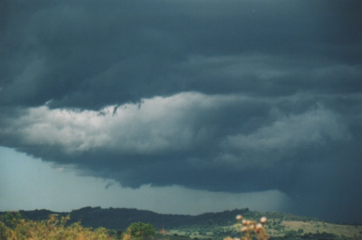 cumulonimbus thunderstorm_base : Parrots Nest, NSW   5 January 2000