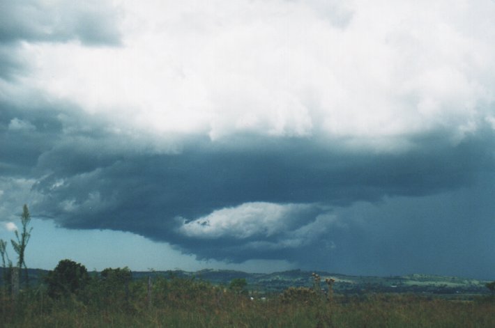 cumulonimbus thunderstorm_base : Parrots Nest, NSW   5 January 2000