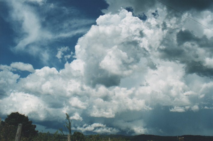 cumulonimbus supercell_thunderstorm : Parrots Nest, NSW   5 January 2000